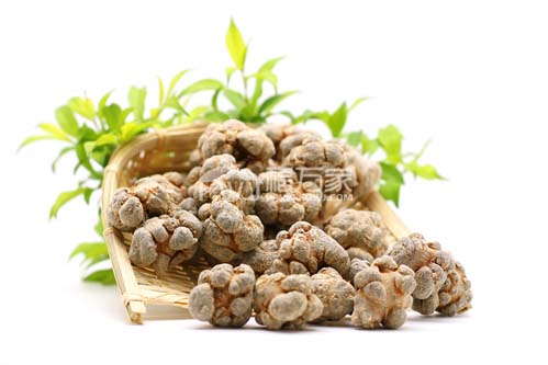 60頭三七功效怎么樣？