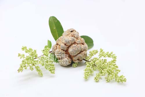 三七粉一天吃多少量？