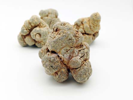 三七粉怎么買？
