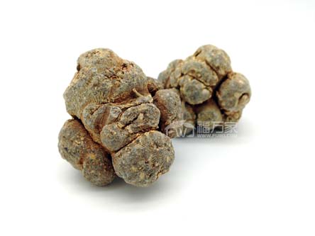 三七粉可以替代阿司匹林嗎？