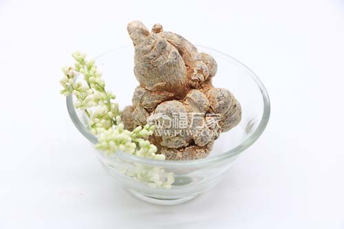 文山三七是新鮮的好還是曬干的好？