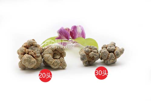 買三七送禮多少頭的最好？