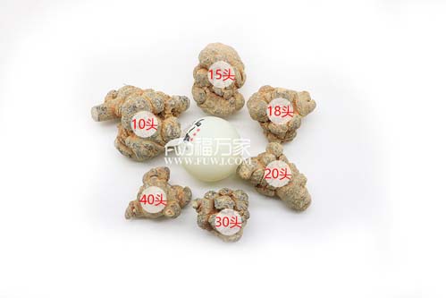 二十頭、三十頭的三七都是多少錢一斤