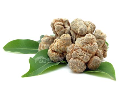 年份越長(zhǎng)的三七越好